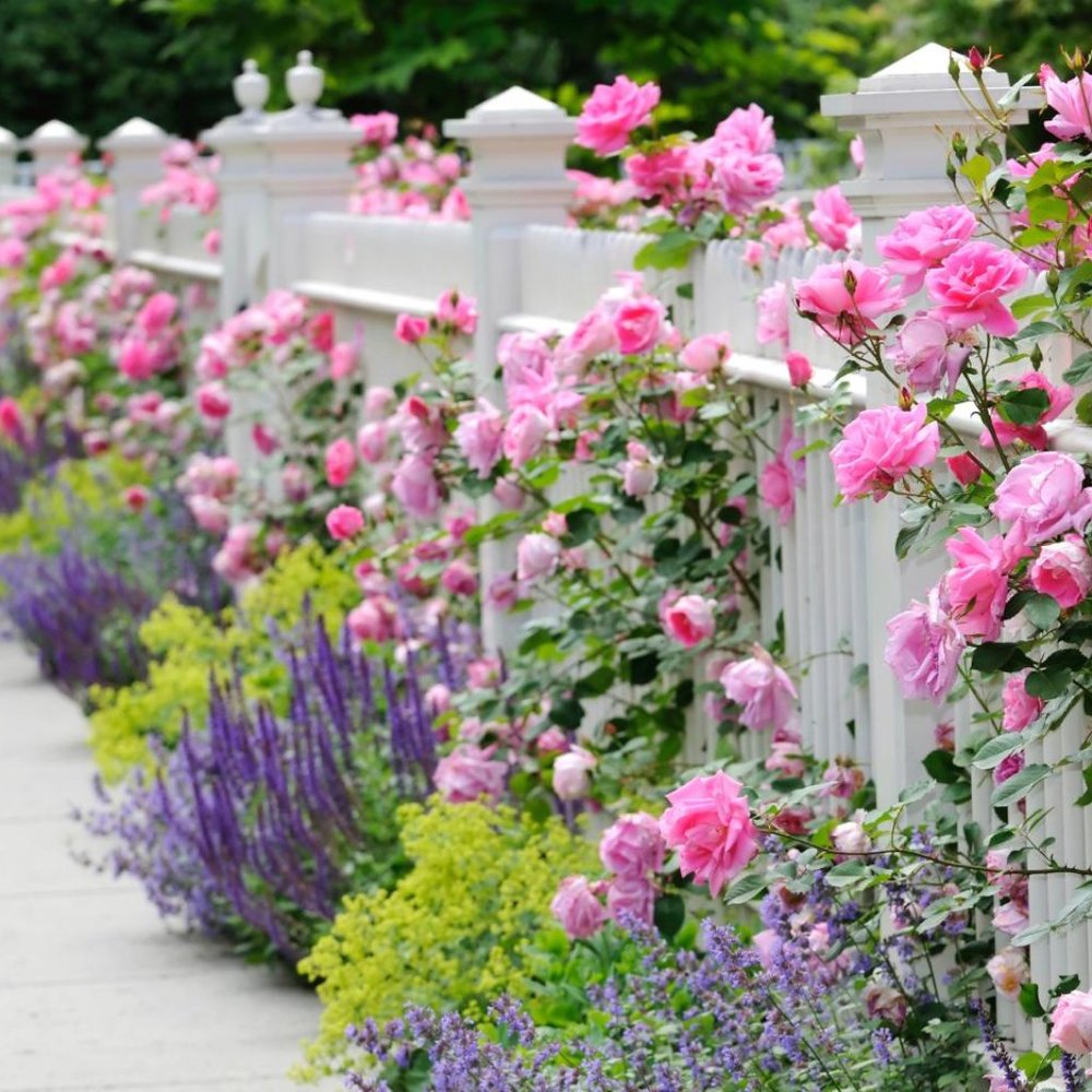 Meet your Posher, Amina